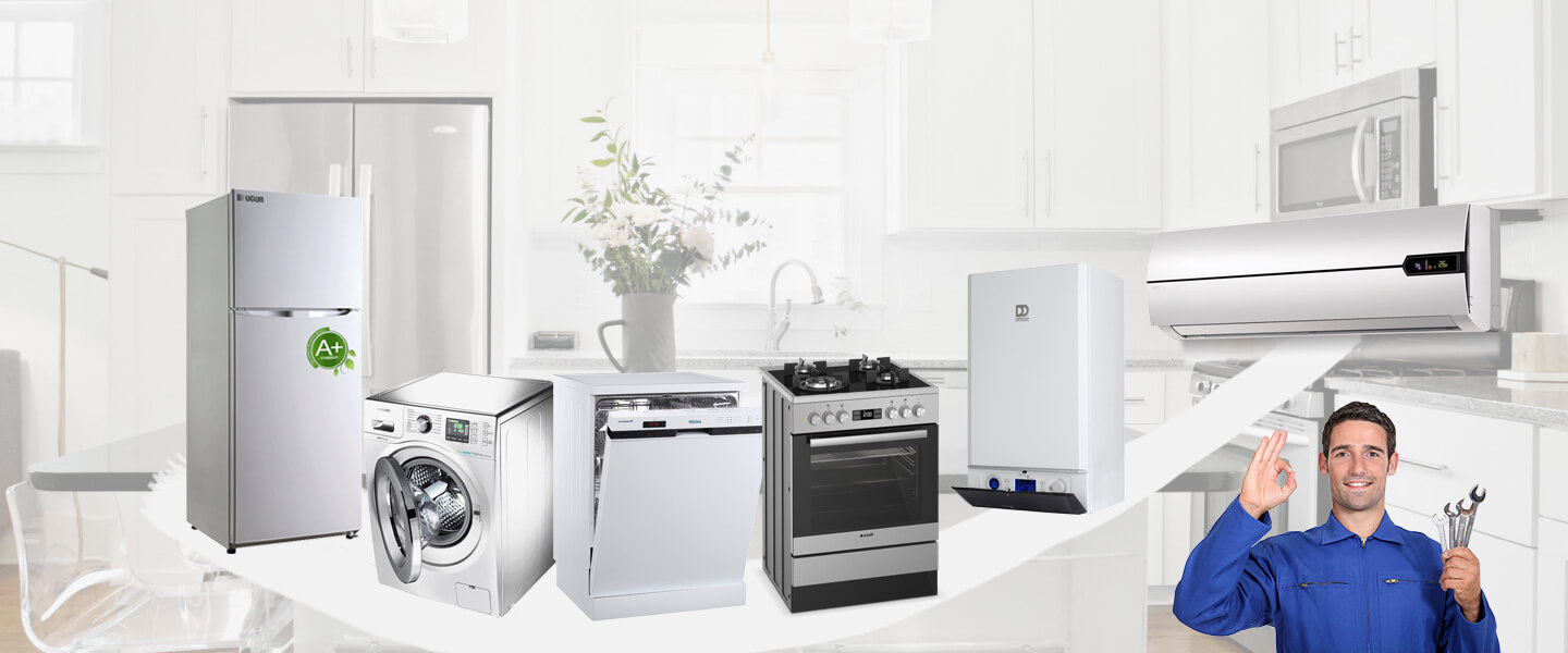 Bornova Vaillant Servisi